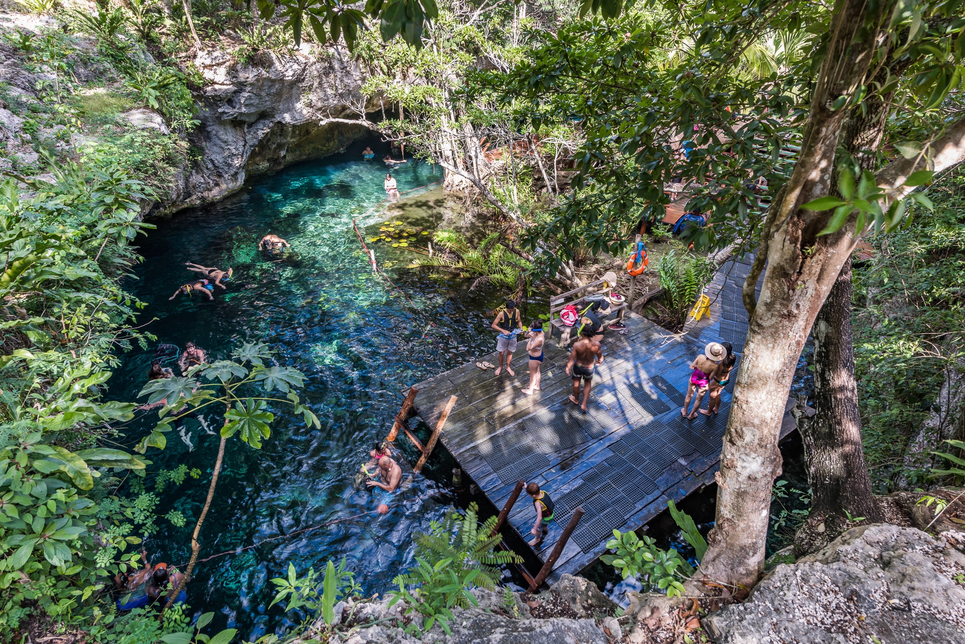 Cenotes cerca de Tulum