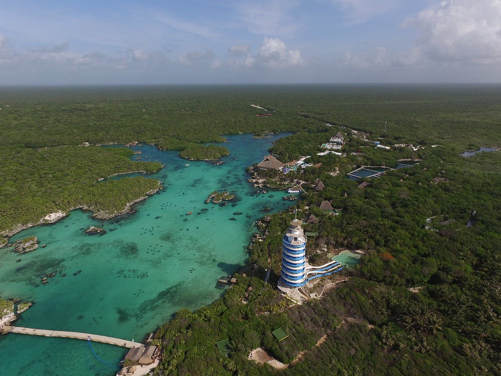 Xel-Há cerca de Tulum